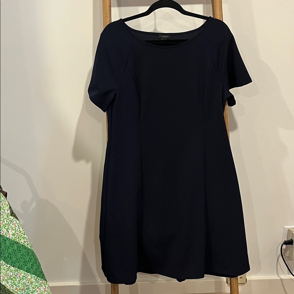 Ann Taylor Factory A-line Dress